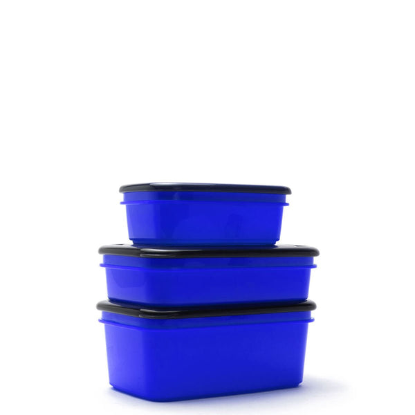 3pck Assorted Reusable Crib Containers - Blue - Rugged Xtremes